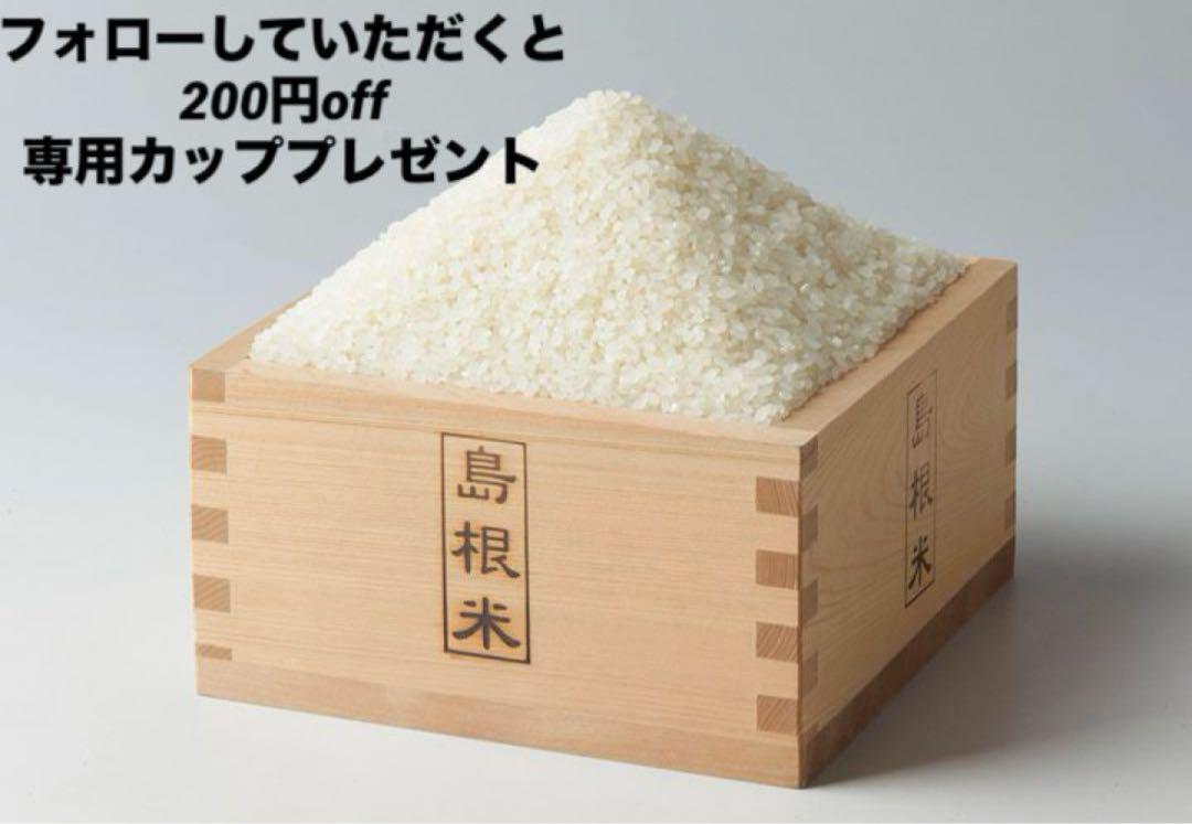 令和6年産 島根県 キヌムスメ 10kg 無洗米 精米