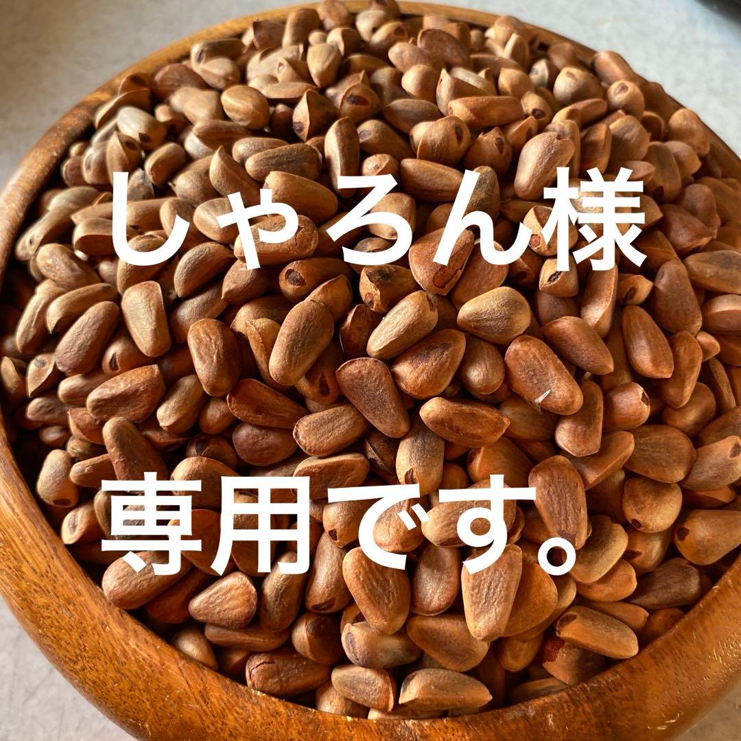 殻付き松の実1キロ