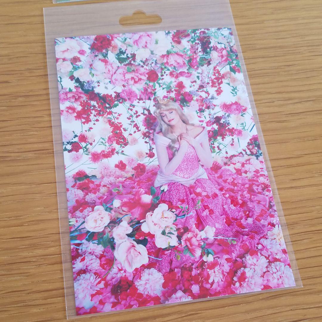 Disney プリンセス 蜷川実花 Shop At Mercari From Japan Buyee Bot Online Disney プリンセス 蜷川実花 Shop At Mercari From Japan Buyee Bot Online