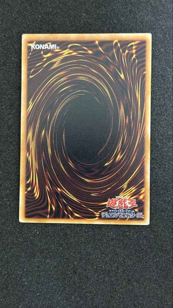 真紅眼の黒竜 レリーフ 遊戯王 301-056