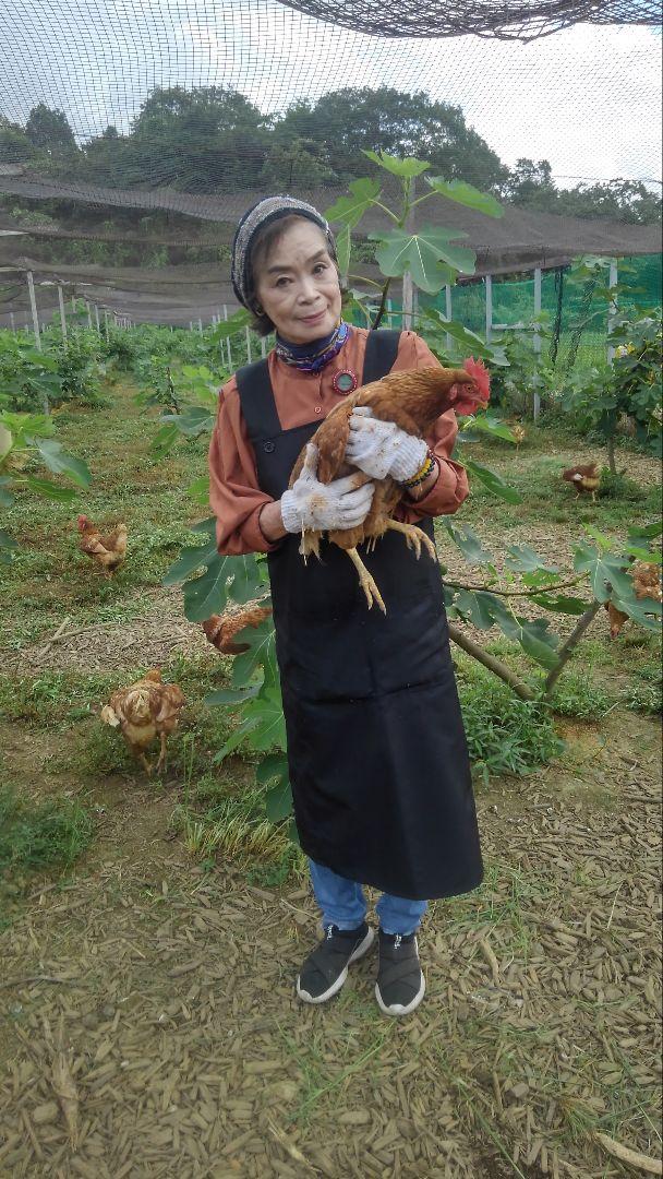 平飼い卵80個12/16常温発送