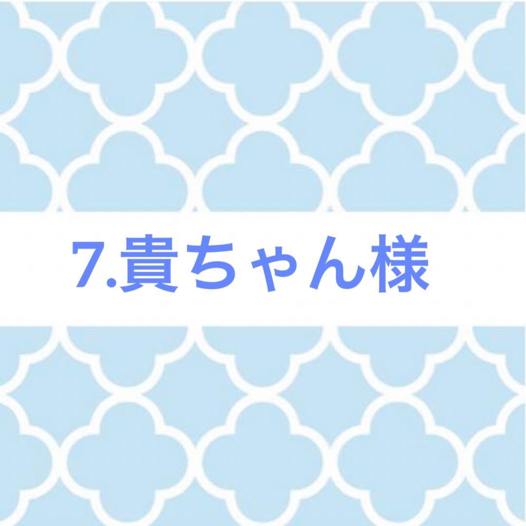 無料配達 貴ちゃん様専用ページꕤ︎︎·͜· ︎︎ 植物/観葉植物 - www