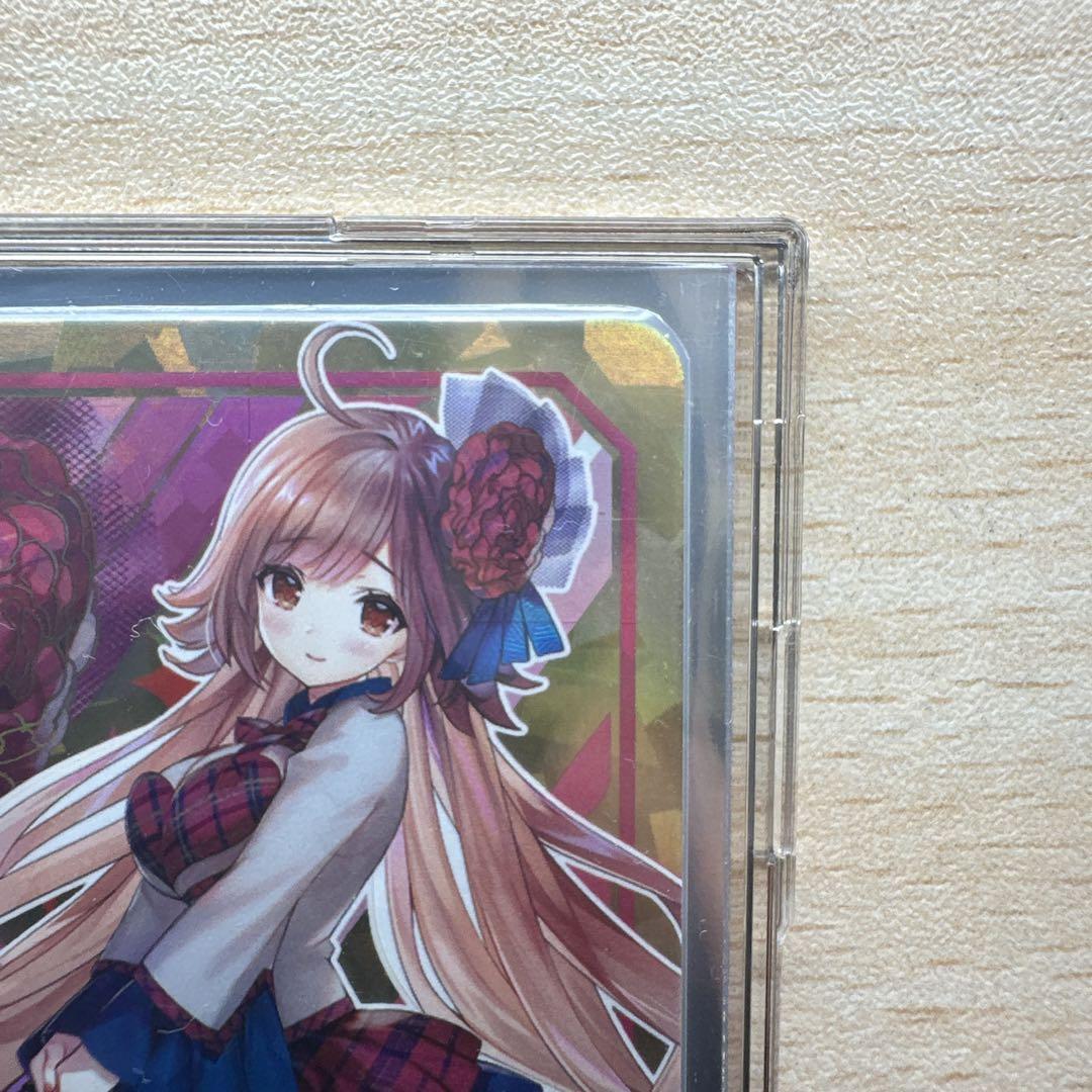 Z/X プリズムP IGR