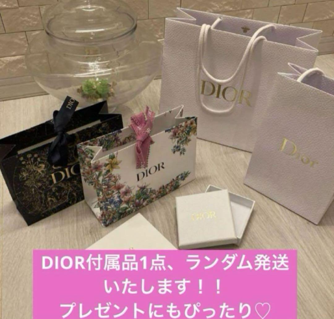 【正規品•新品】➁DIOR可愛いらしいサイズチャーム＆ネックレス