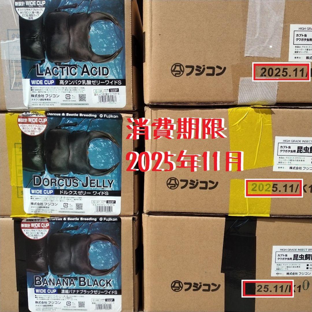 昆虫餌用ゼリー ドルクスゼリー プロゼリー 2種類合計48個 専門ショップ 昆虫餌用ゼリー ドルクスゼリー プロゼリー 2種類合計48個 専門ショップ