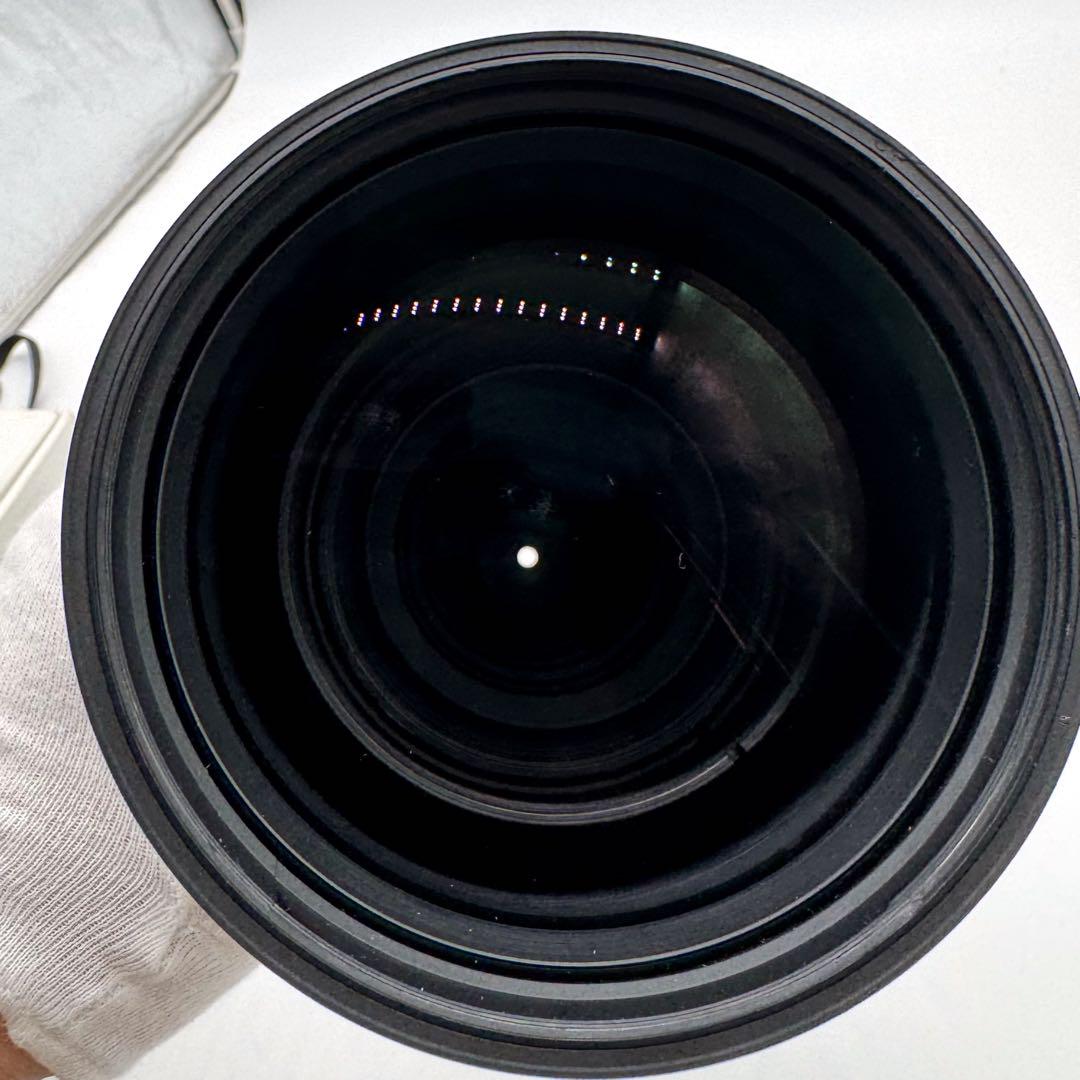 【カビ有り】SIGMA 150-600mm F5-6.3 DG 【ジャンク】