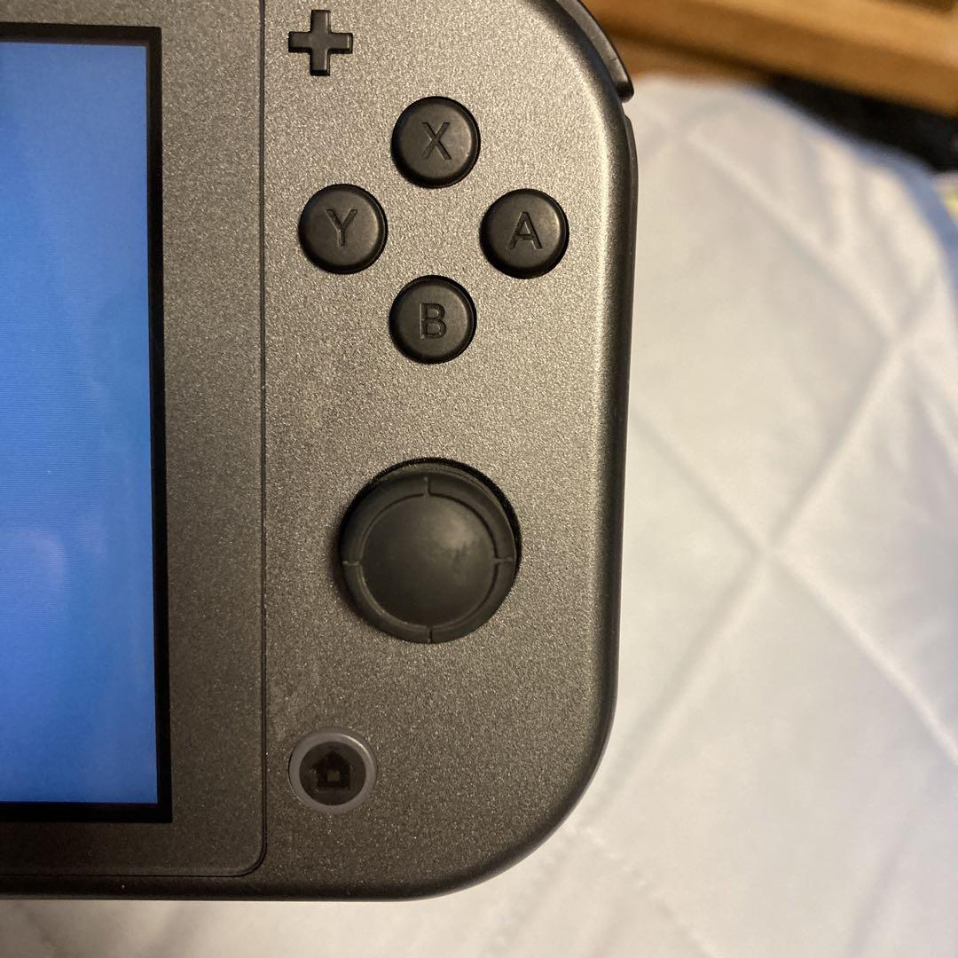 Switchライト本体のみ