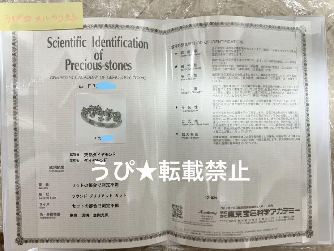 ダミアーニ ミモザリング WG 47号