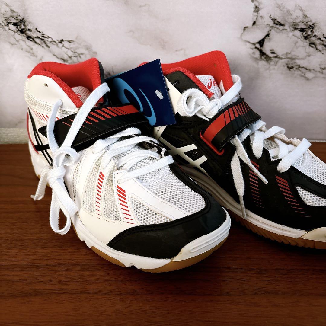シューズ ASICS COURT SELFIT TVR486.100