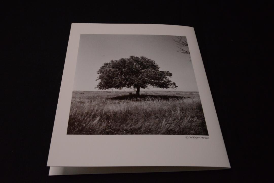 【As the Crow Flies】Terri Weifenbach新品未読品