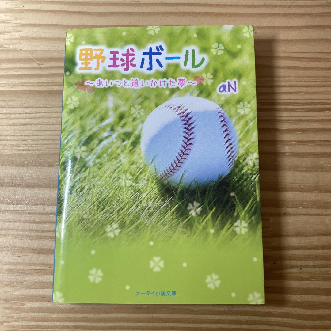 携帯小説・文庫本 42冊 まとめ売り - メルカリ