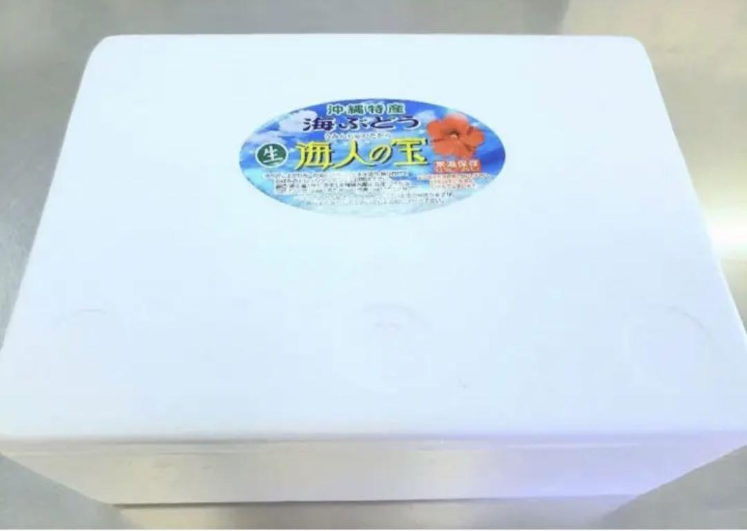 【沖縄県産】生海ぶどう 茎付きたっぷり2kg ☆タレ20p付き