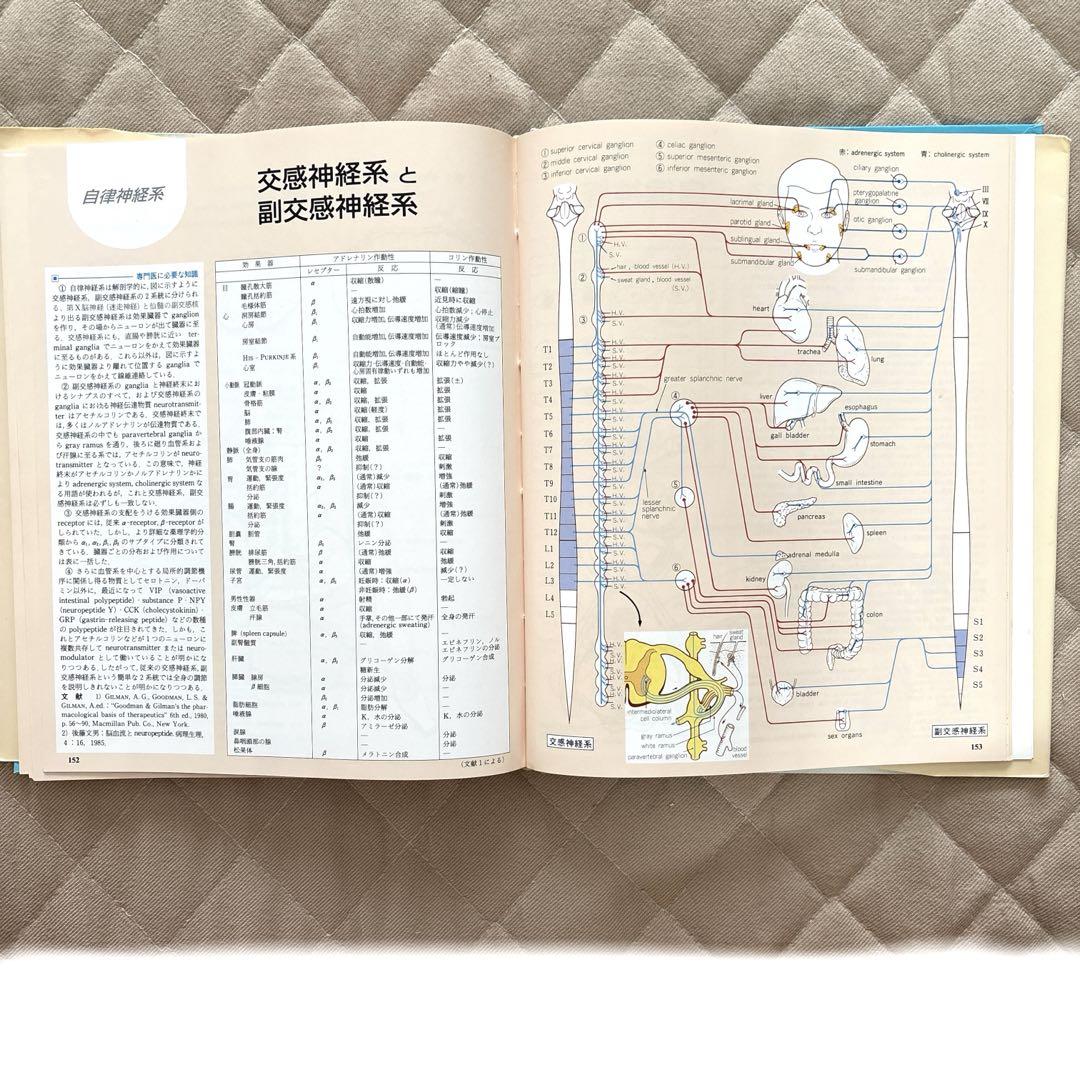 【裁断済】臨床のための神経機能解剖学 臨床のための神経機能解剖学 | 後藤 文男, 天野 隆弘 |本 | 通販