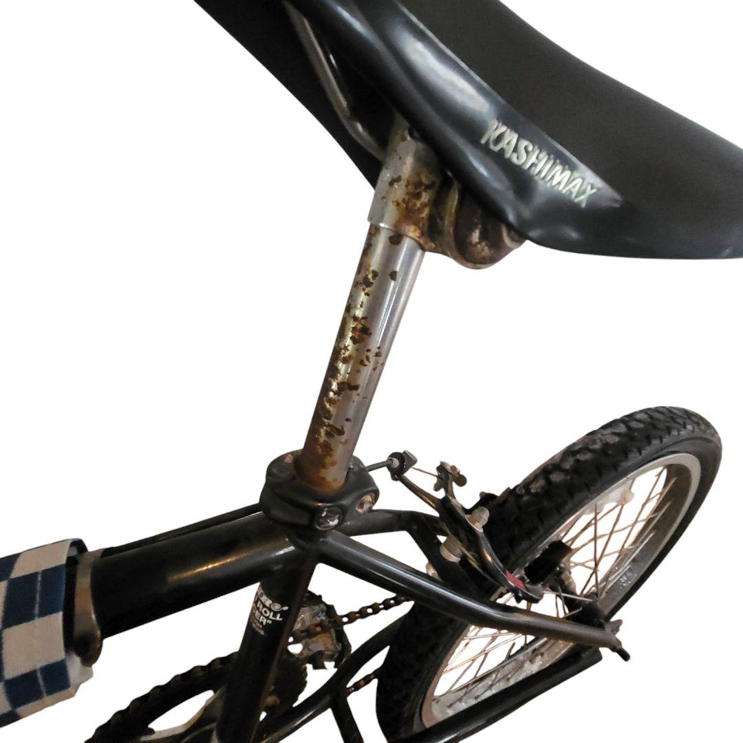 希少☆Stussy W-Line BMX \How I Roll\ ステューシー