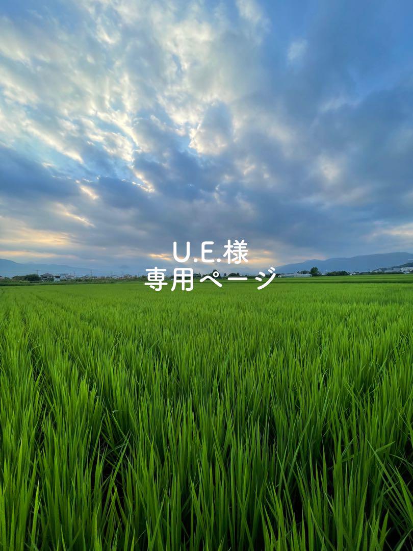 てんこもり玄米24キロ