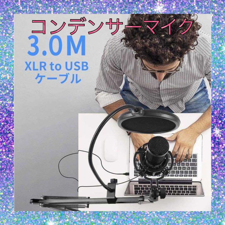 生配信 ゲーム実況のマストアイテム コンデンサーマイク エコー機能付き メルカリ