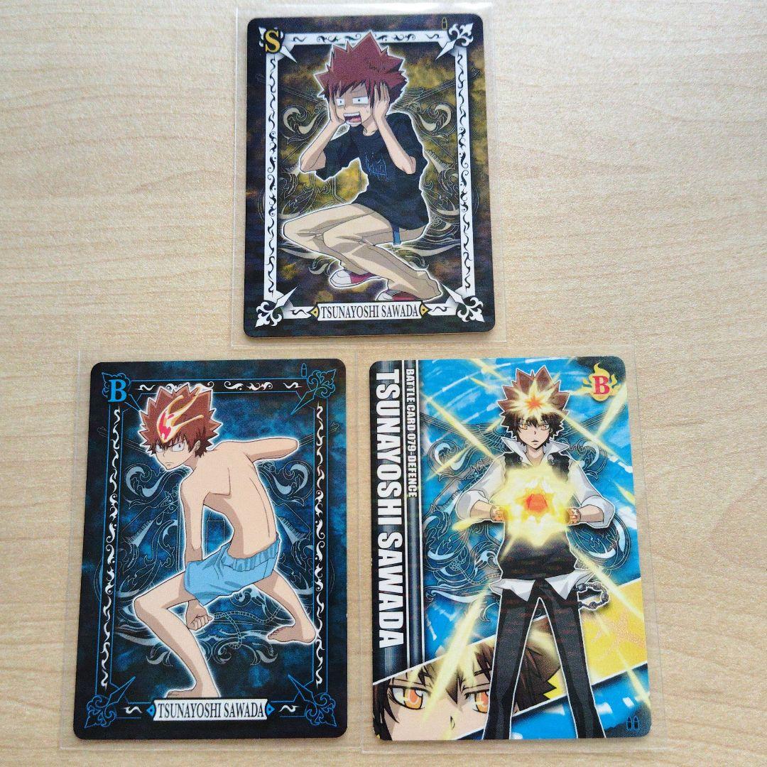 【希少】リボーン CCG サザンクロスバトル 沢田綱吉 まとめ売り レア 家庭教師ヒットマンREBORN! サザンクロスバトルカード 沢田綱吉
