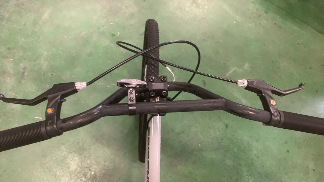 【AVASTA】TRIDENT レースBMX自転車 BMX 26インチ