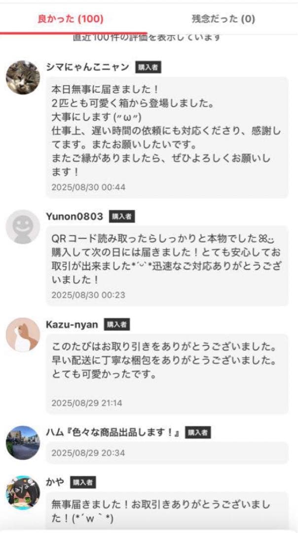 【正規品・未開封】Labubu Big into Energy 2箱