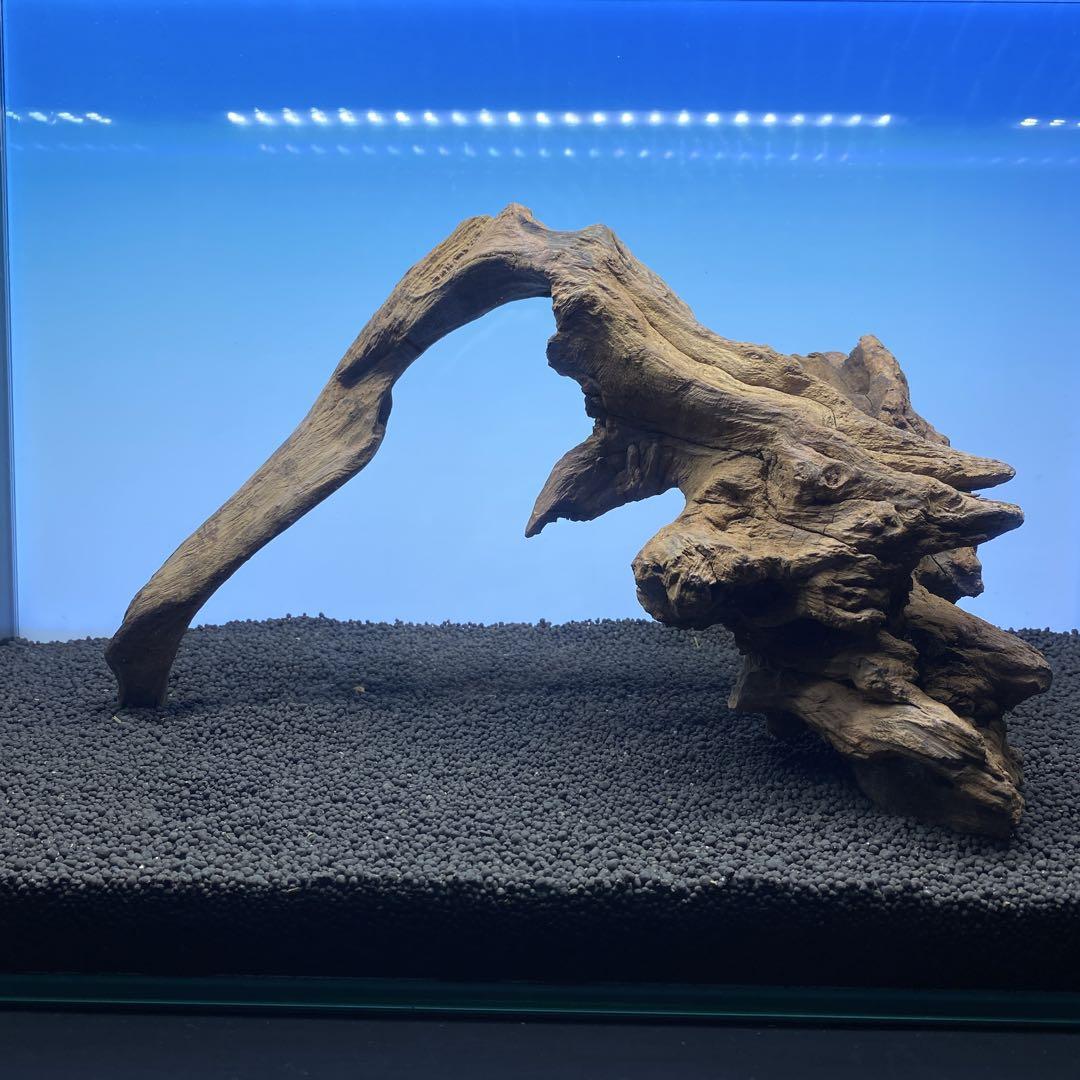 MRW-6518 自立赤系天然流木 1点物 流木 アクアリウム - メルカリ