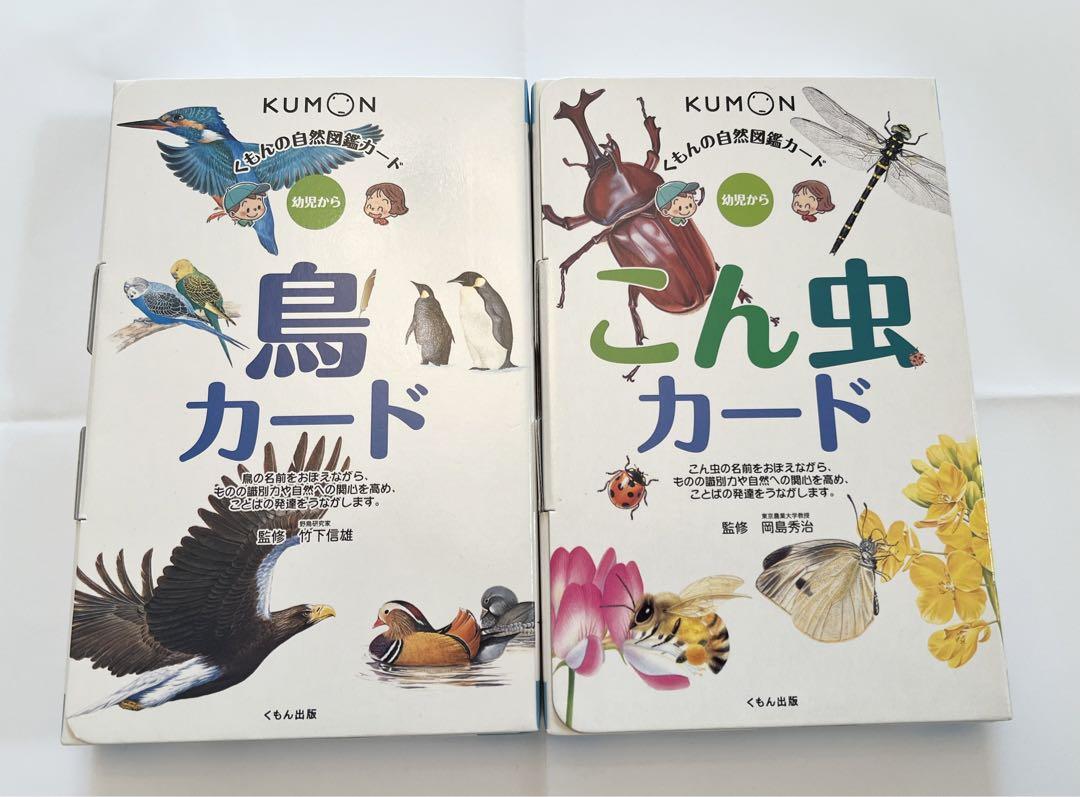 くもん 写真図鑑カード こん虫、野鳥 くもん 写真図鑑カード こん虫、野鳥