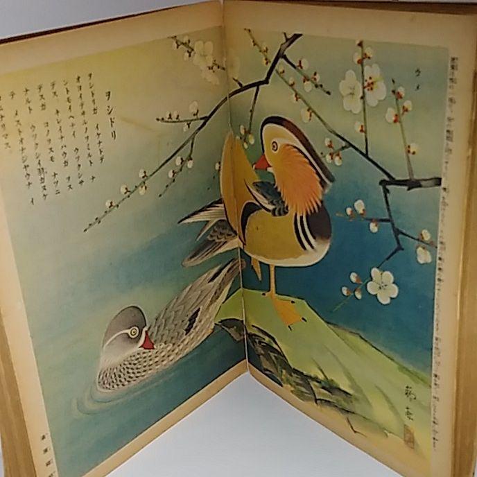 人気セールSALE 戦前 講談社の絵本 鳥づくしと動物物語 FnzWL-m45840898583 セール正規品