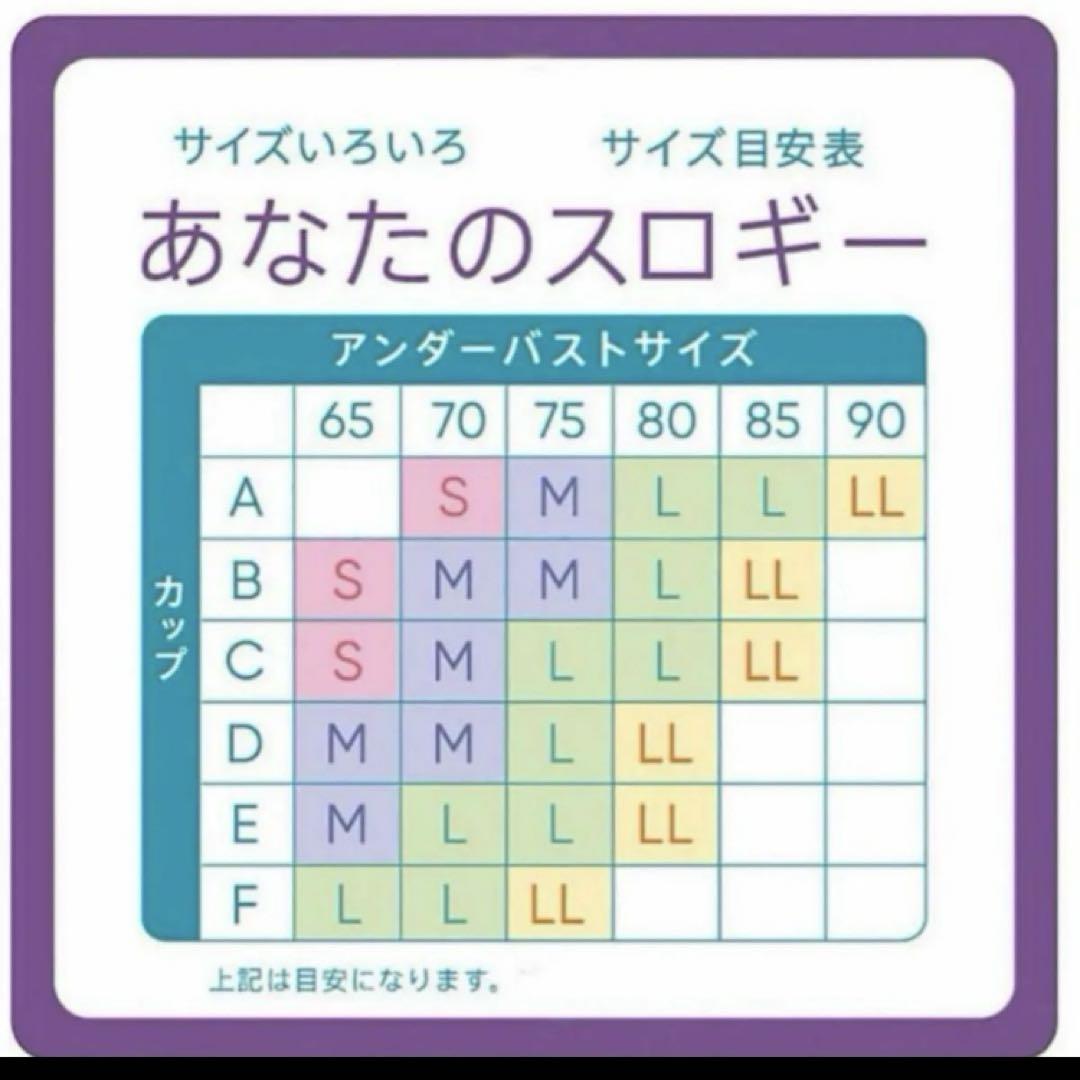 新品　トリンプ　スロギー　ベーシック　コラボプリントMサイズ　2点セット