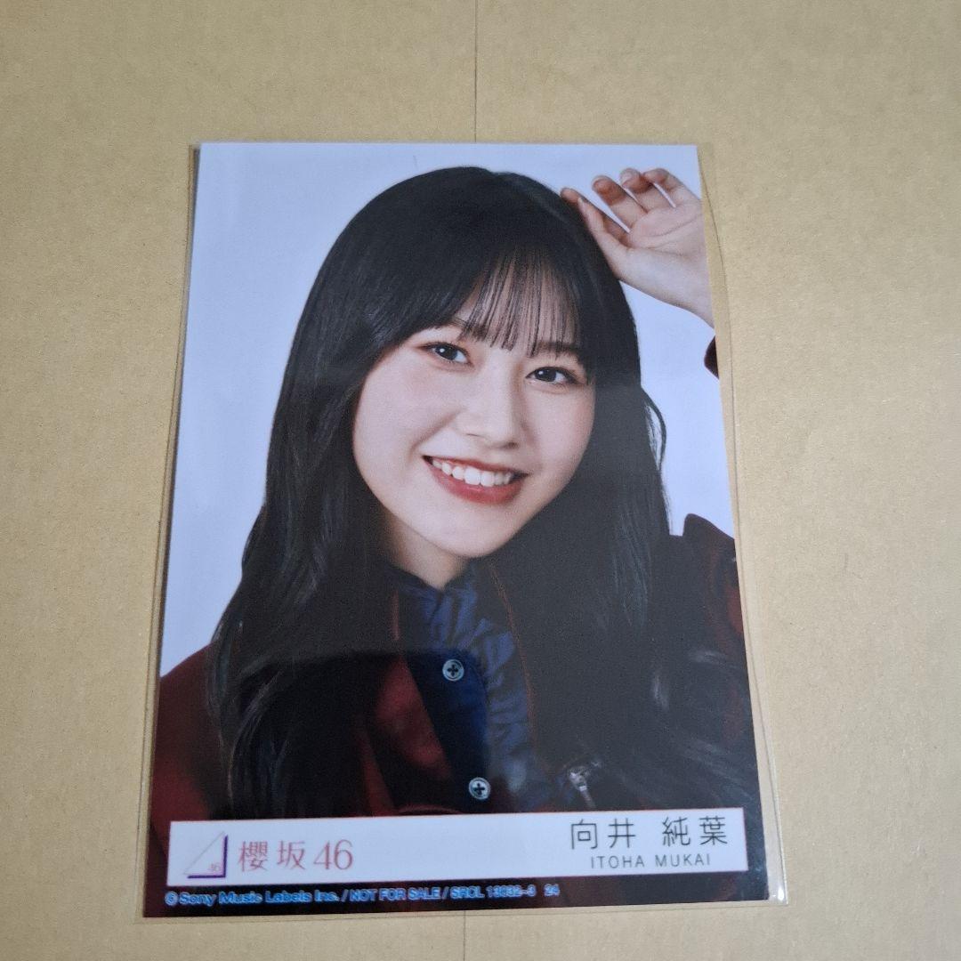 櫻坂46 向井純葉 封入生写真 ヨリ - メルカリ