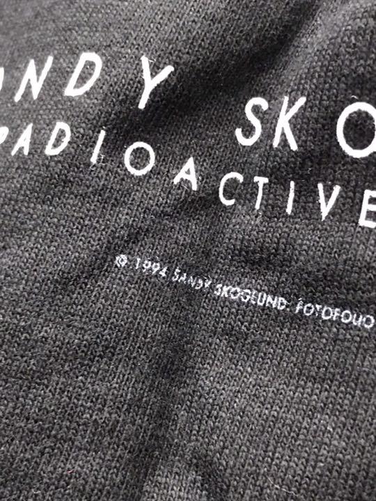最新の激安 極美90’s アメリカ写真家 SANDY SKOGLUND Tシャツusa loa8I-m45865817593 日本製得価