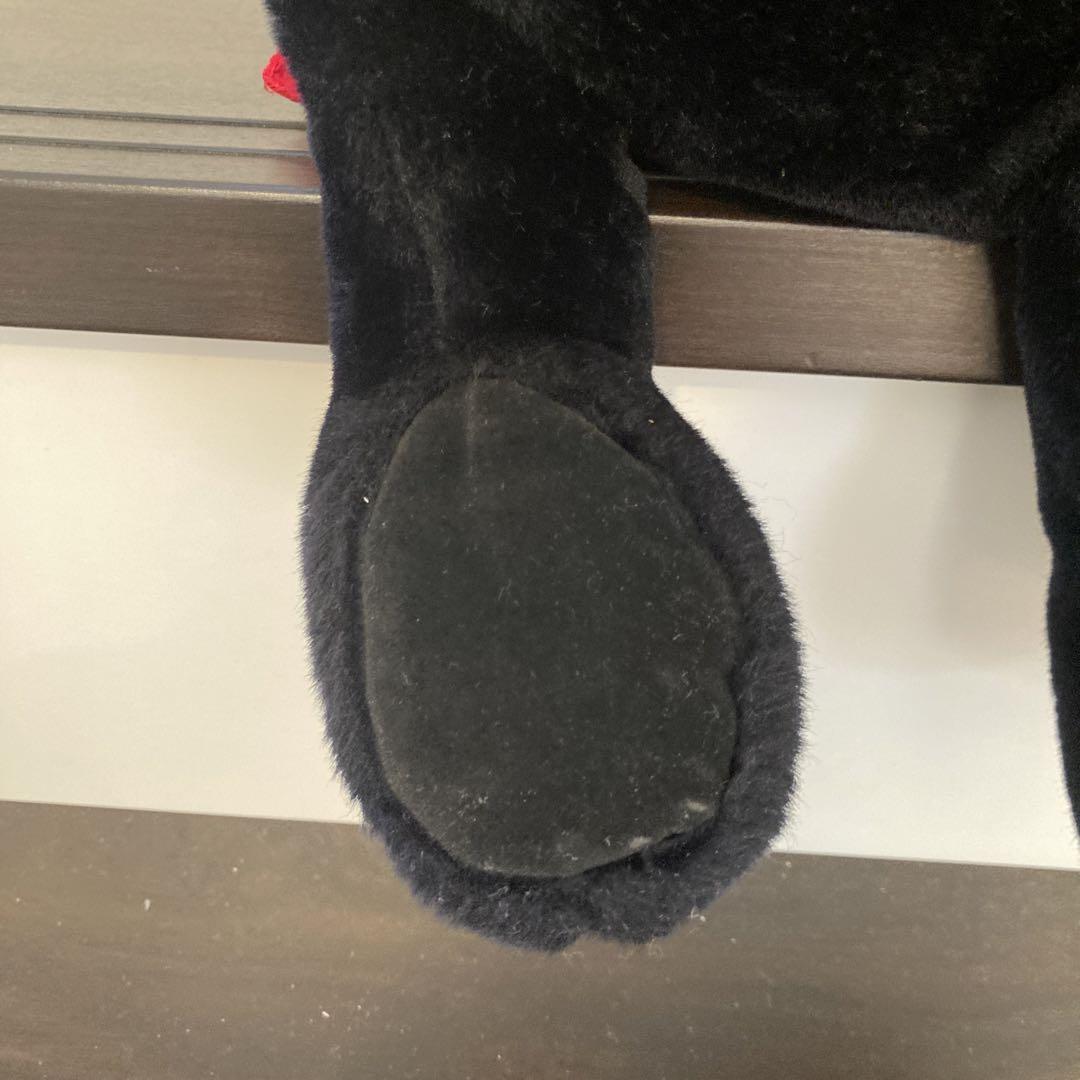☆スペシャル☆LLBEAN☆ラブラドール