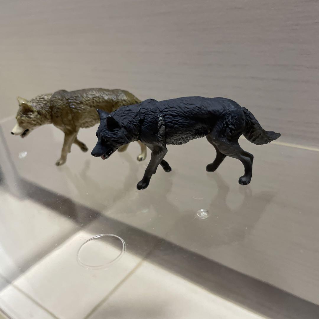 【数量限定レア】ASAHIYAMA ZOO Vol.1 コンプ & 森林オオカミ