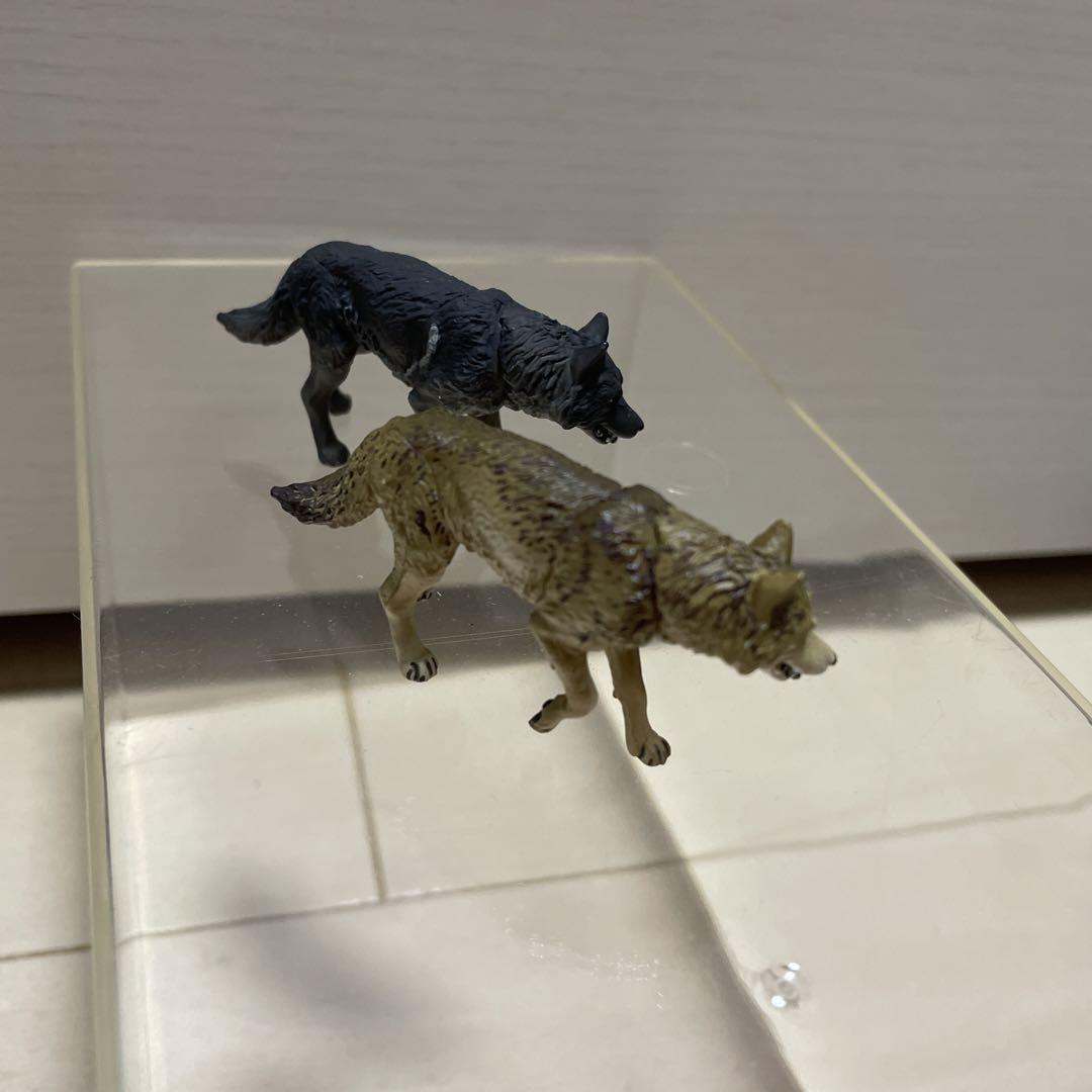 【数量限定レア】ASAHIYAMA ZOO Vol.1 コンプ & 森林オオカミ