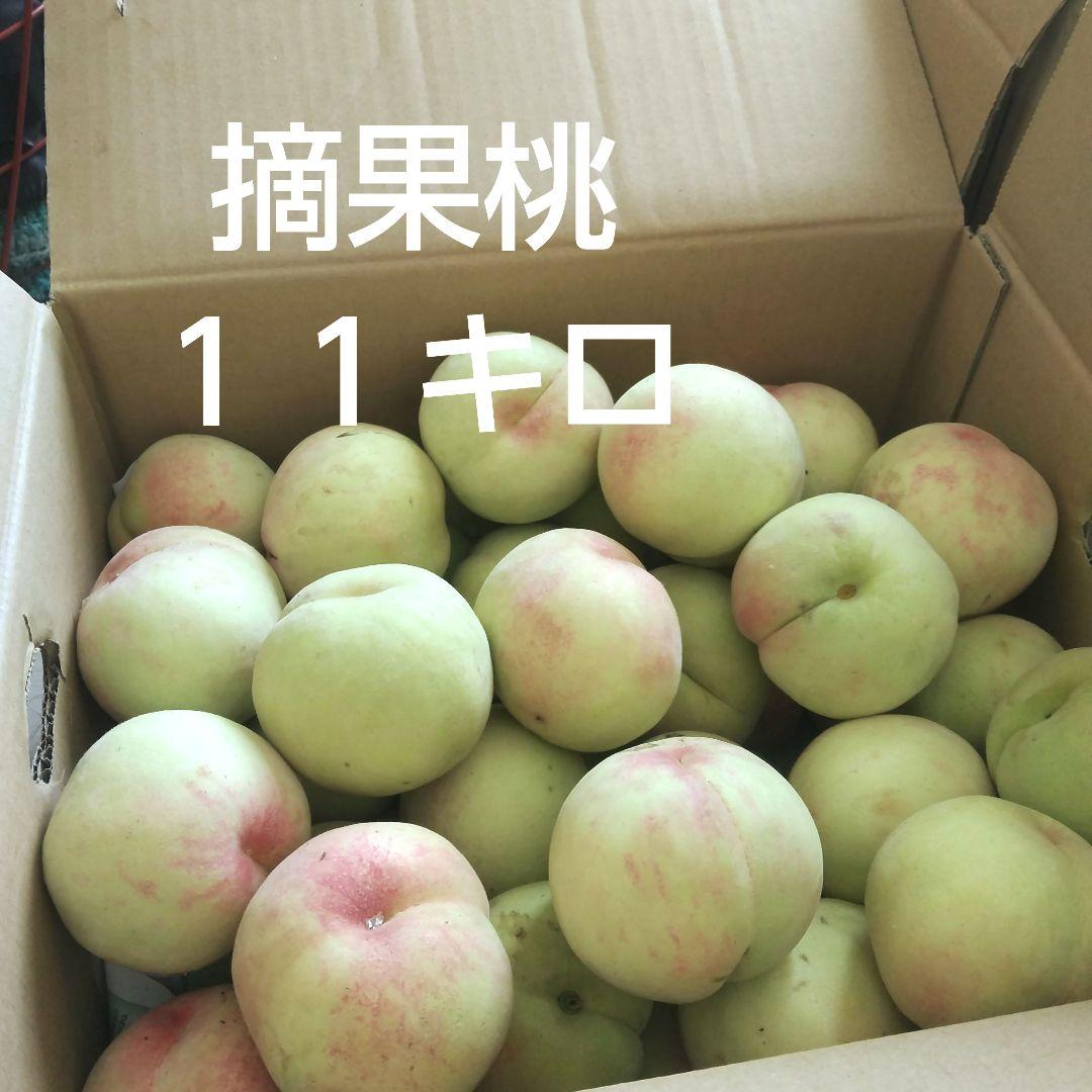 摘果桃 １１キロ 送料込み あかつきもも