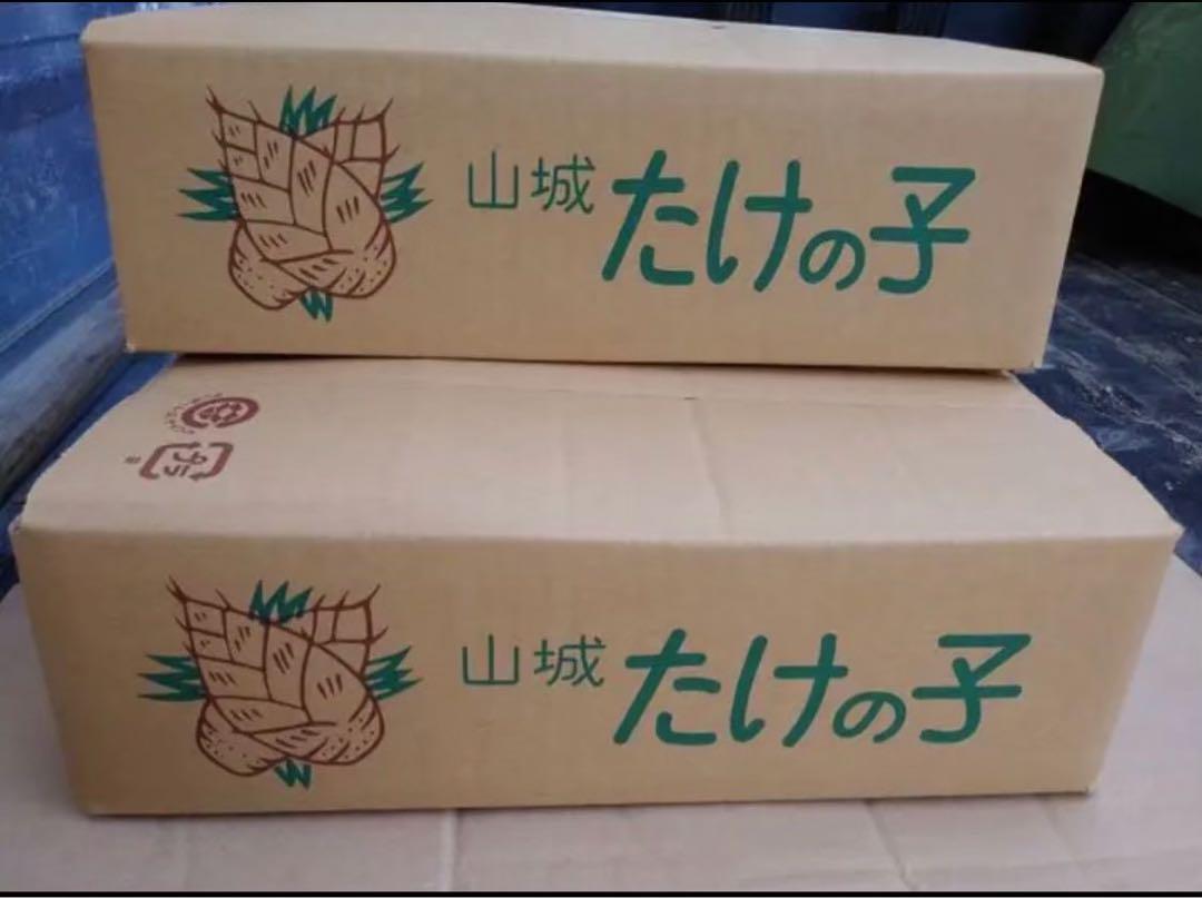 UTA 白子筍 3キロ 京都特産 京たけのこ専門店-筍農家