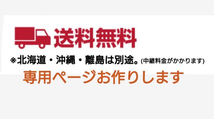 和装トルソーベージュ　着付け練習用ボディ　和装ボディ　和装マネキン　日本製