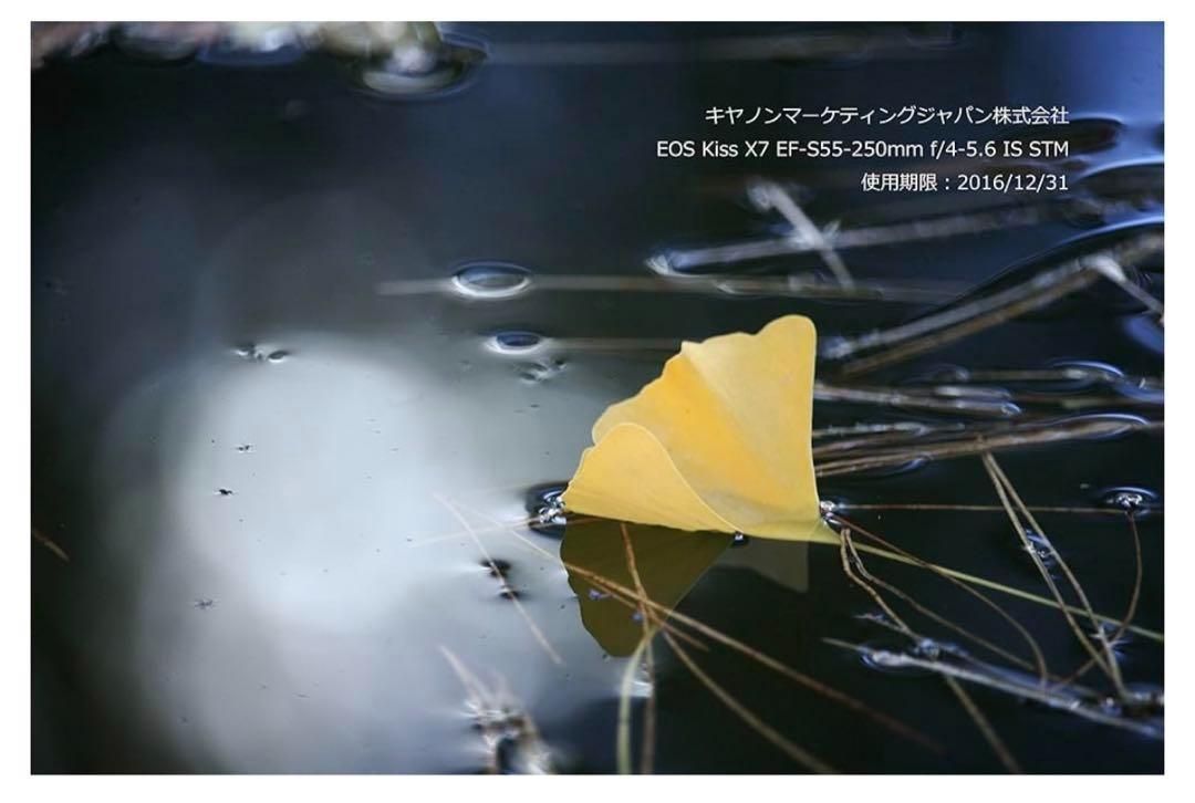 EOS