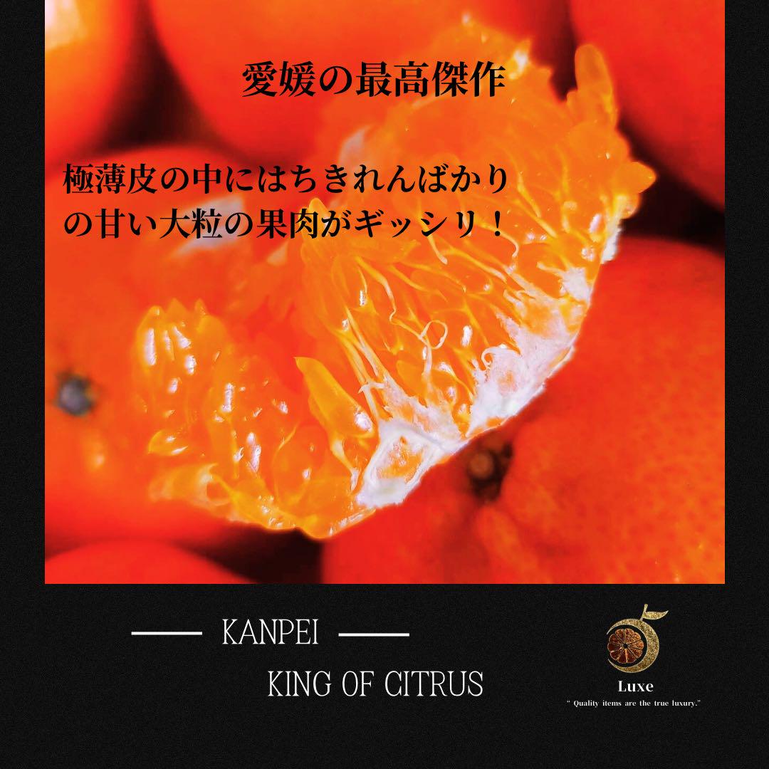 今季は希少‼️愛媛産　甘平　秀品＋家庭用4kgサイズ混合