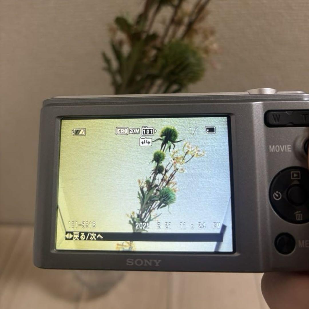ソニー