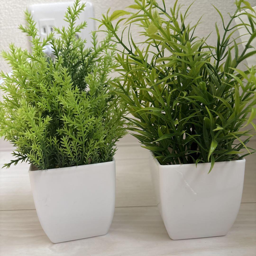 人工観葉植物 2個セット 白鉢 - メルカリ