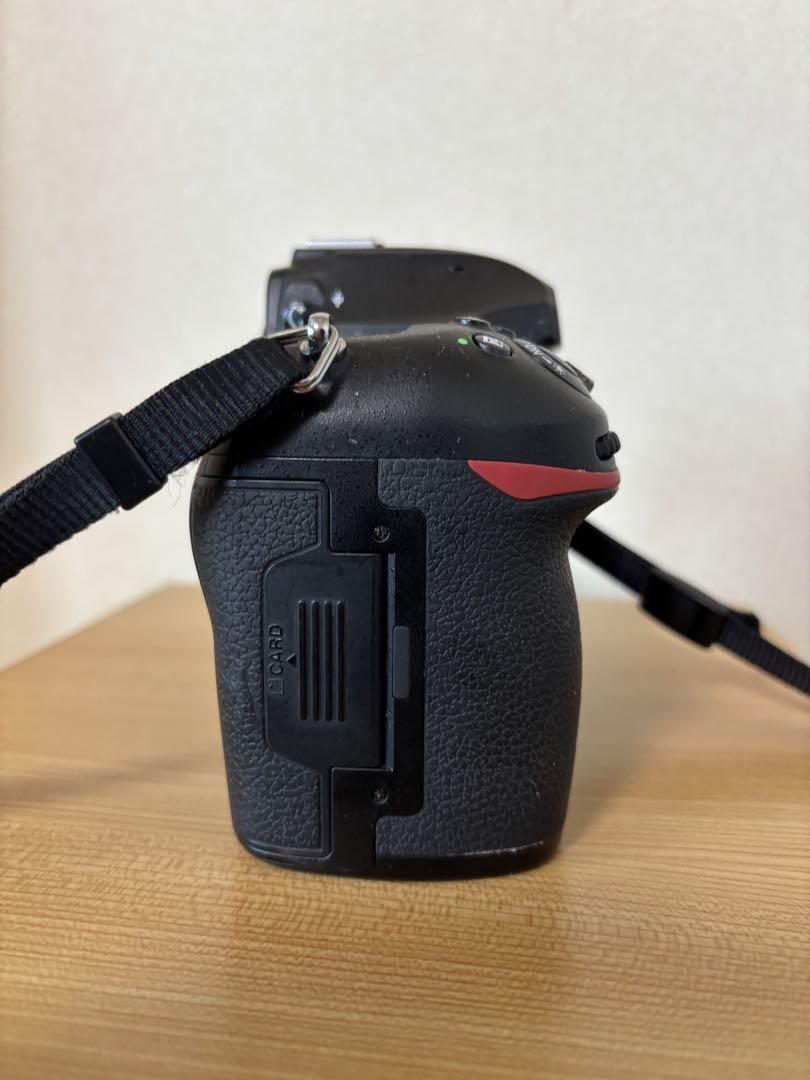 美品 ニコン D3100 デジタル ボディ ショット枚数 377枚 M200