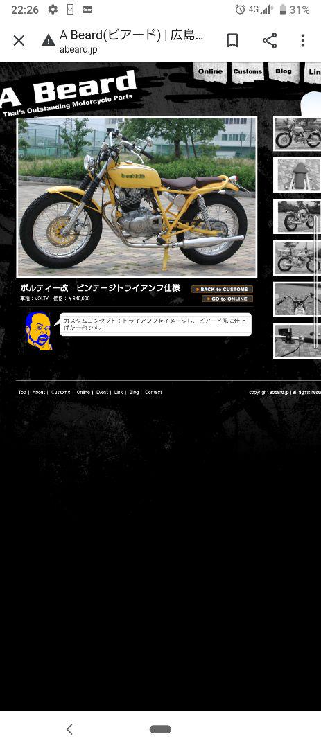 ボルティー250 カスタムペイント Bzi9S-m45944330905 タンク 通販大得価