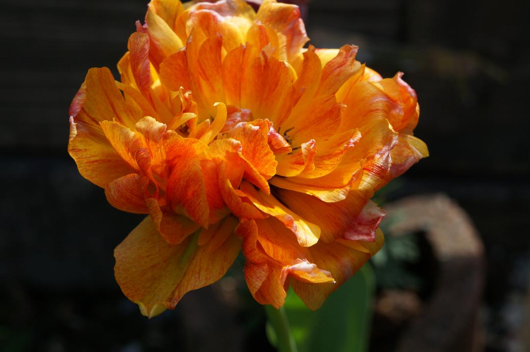 f3.5-5.6