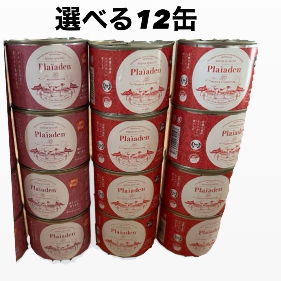 プレイアーデン　12缶