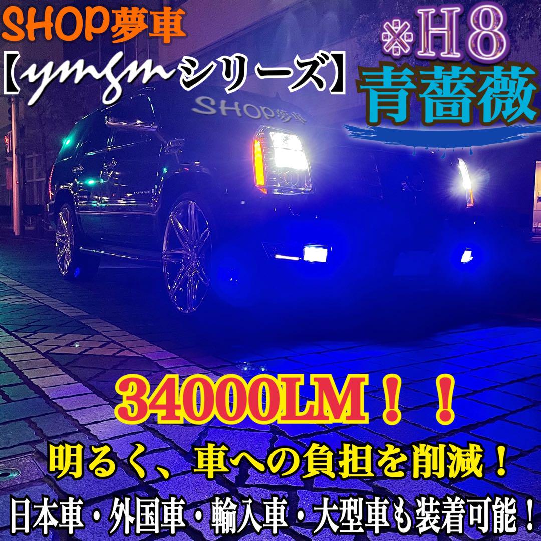 新発売❗️34000LM‼️フォグランプ　LED 青薔薇✨外車も対応　ブルー　H8
