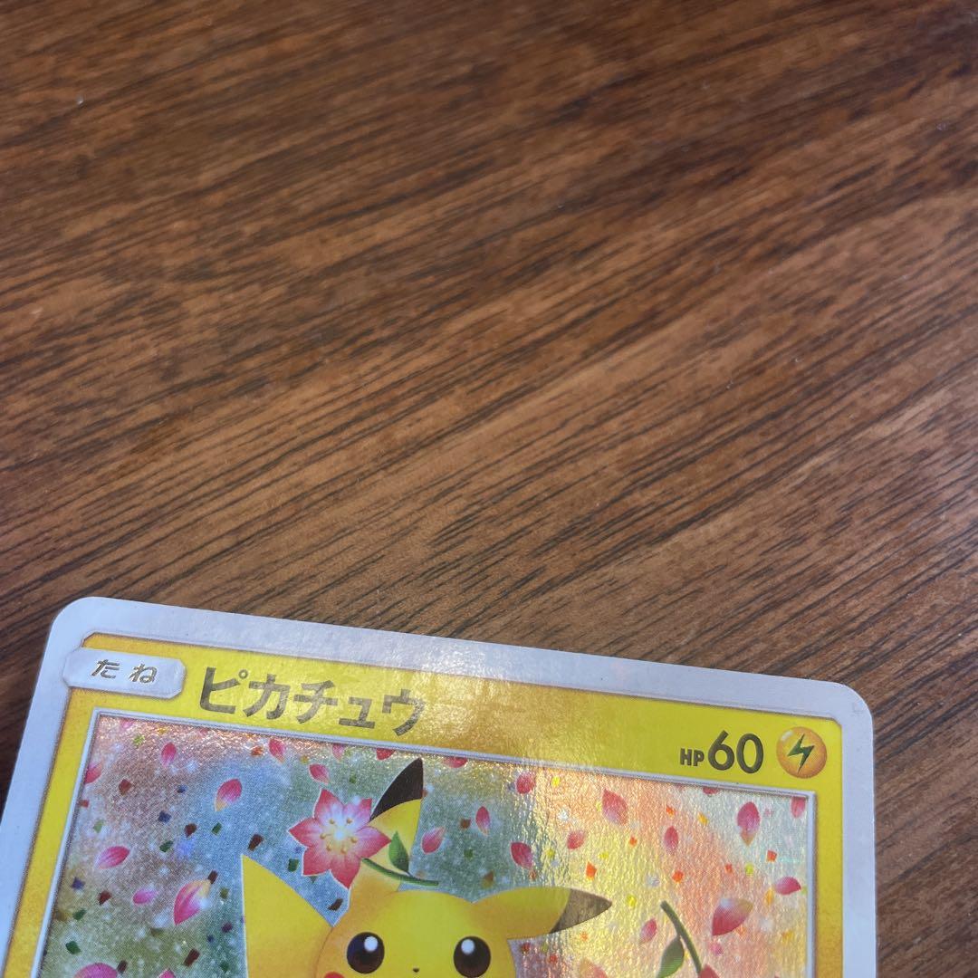 みんなでいわう　ピカチュウ