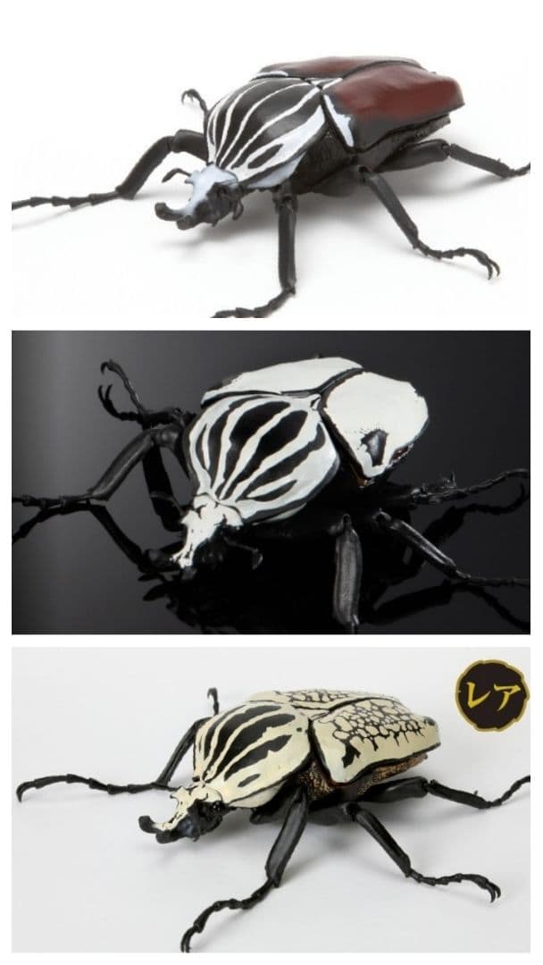 3種セット ゴライアス いきもの大図鑑 かぶとむし くわが