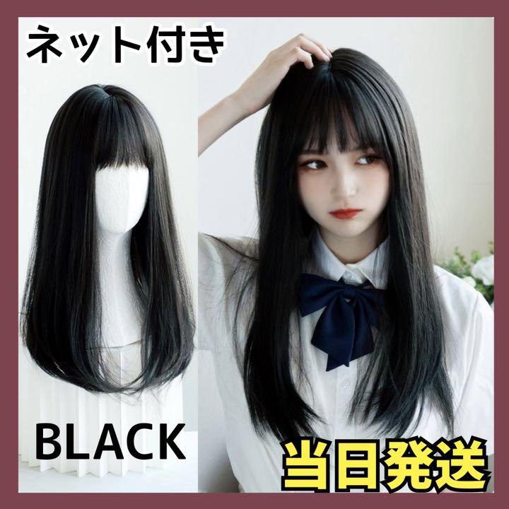 自然 フルウィッグ ロング 耐熱 ブラック ウィッグ 黒 人工頭皮 医療 0 - denielleemans.com 自然 フルウィッグ ロング 耐熱 ブラック ウィッグ 黒 人工頭皮 医療 0 - denielleemans.com