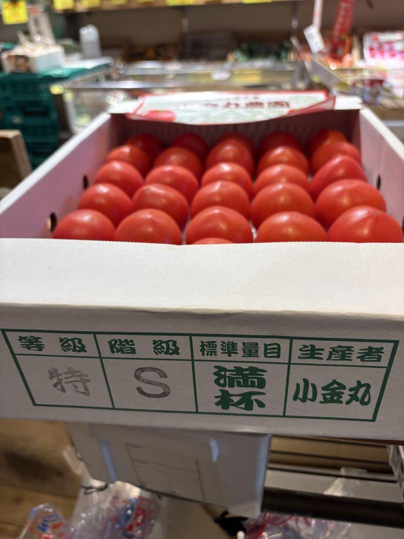 糸島産 小金丸フルーツトマト 約24個