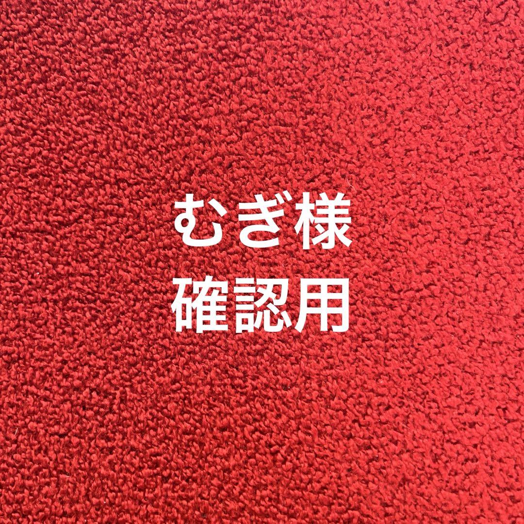 むぎ様確認用