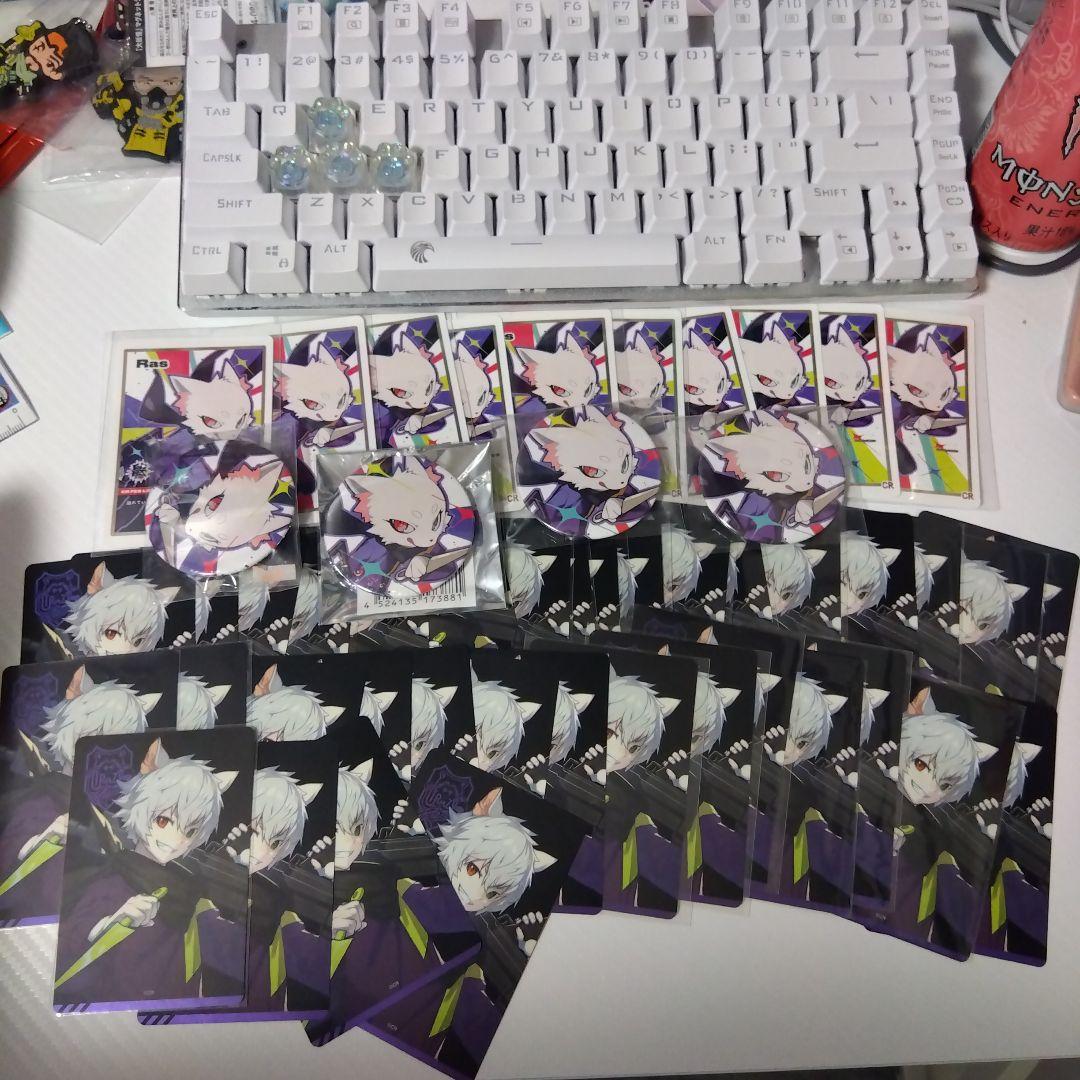 バラ売り可 Crazy raccoon RAS CRフェス トレイディングカード